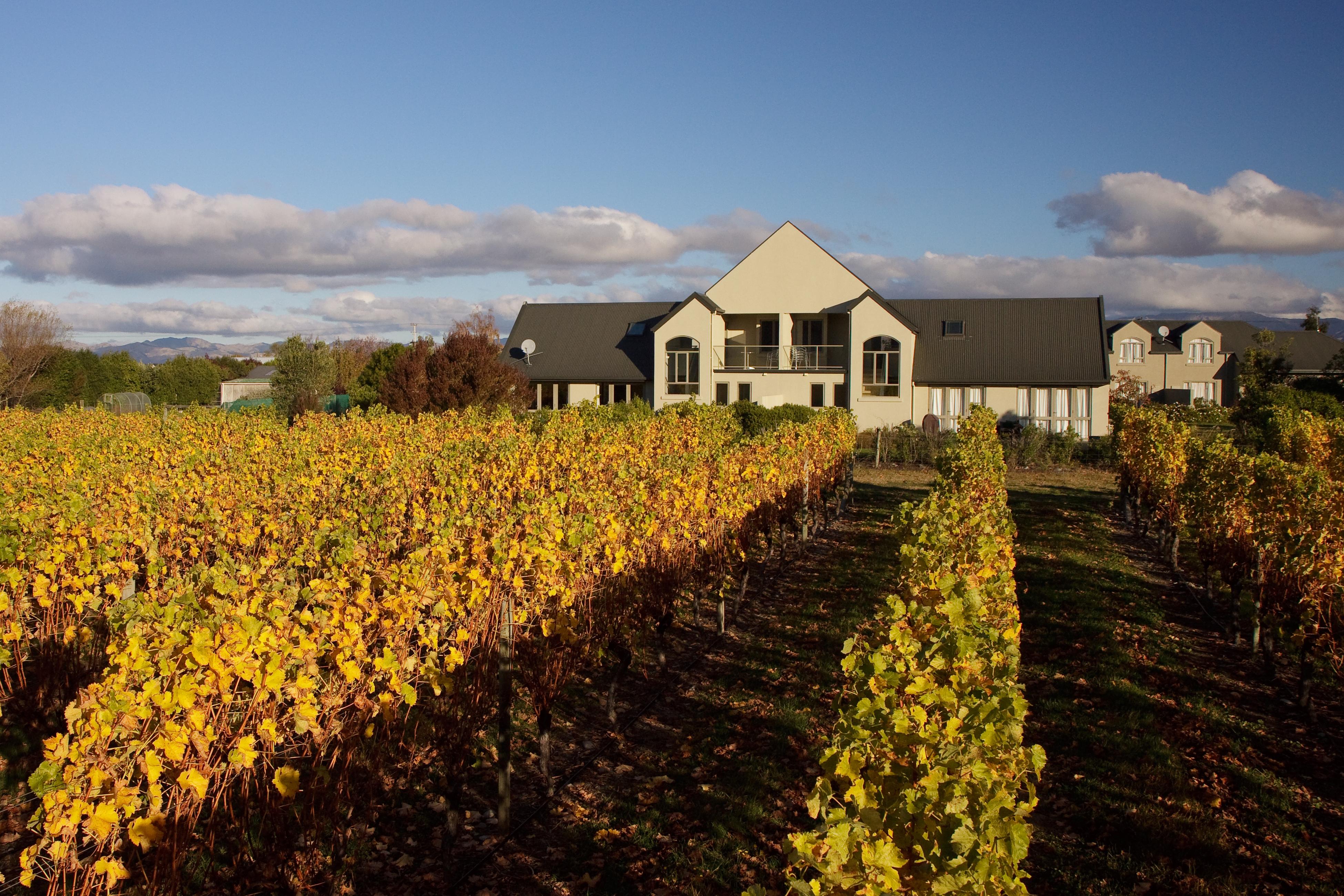 Отель Vintners Retreat Бленем Экстерьер фото