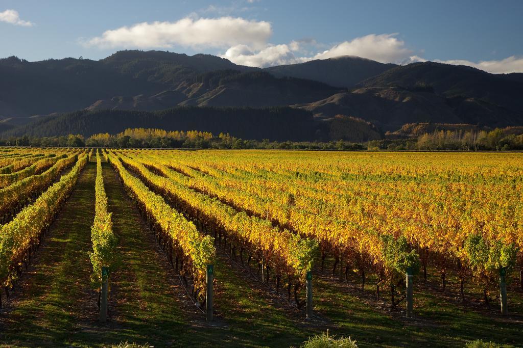 Отель Vintners Retreat Бленем Экстерьер фото